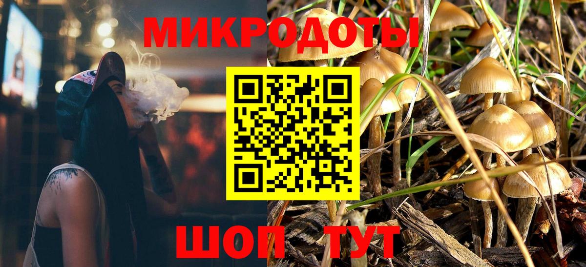 Кыштым  Псилоцибиновые грибы Psilocybe  Вход с VPN 
